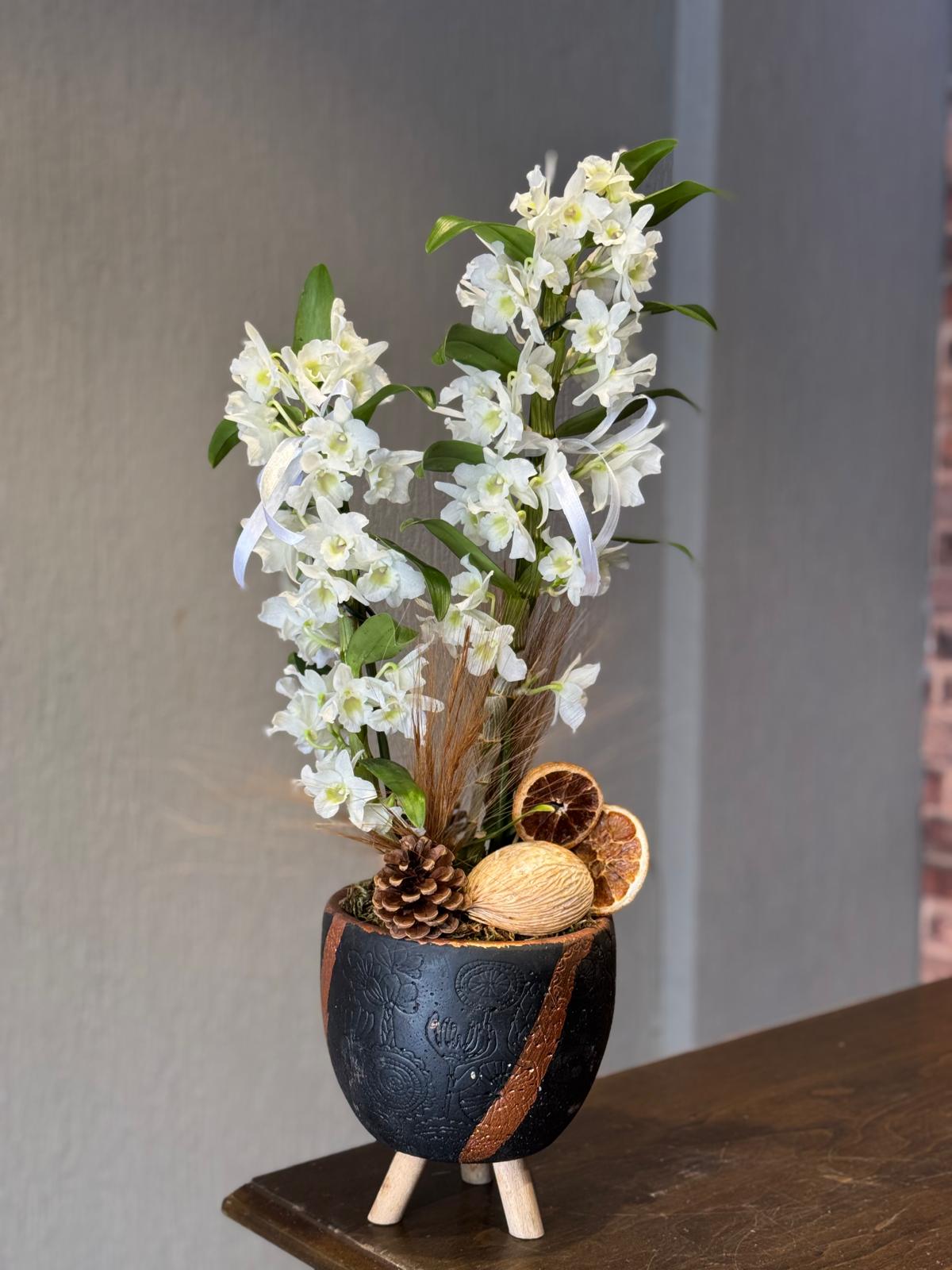 Beyaz Dendrobium Orkide